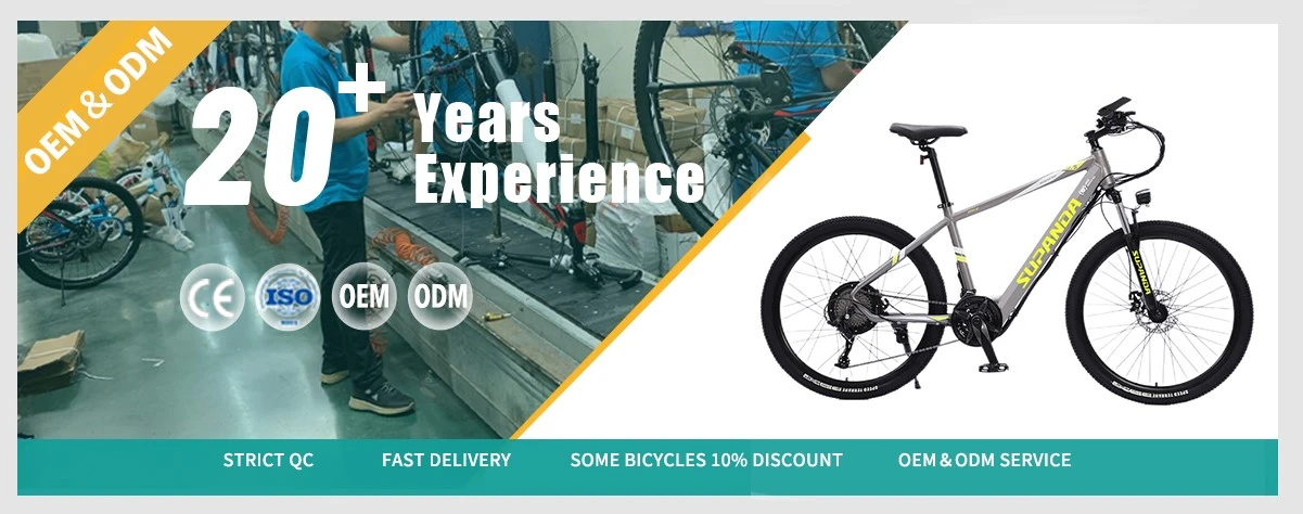 27SP electric MTB 27SP electric MTB