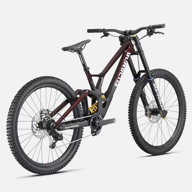 women's downhill mountain bike3