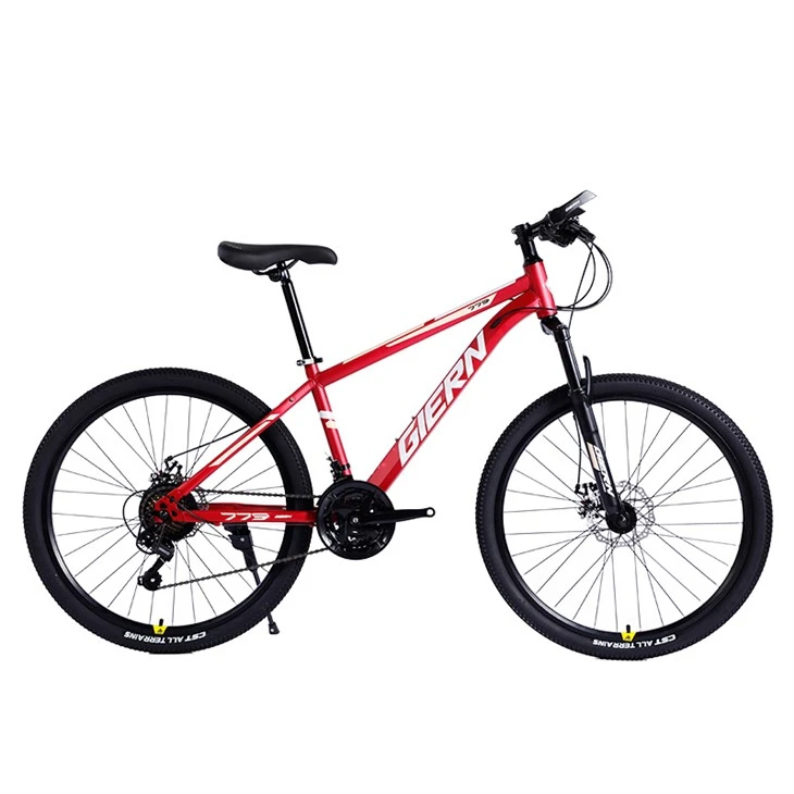 Bingkai Mtb 29 Hardtail
