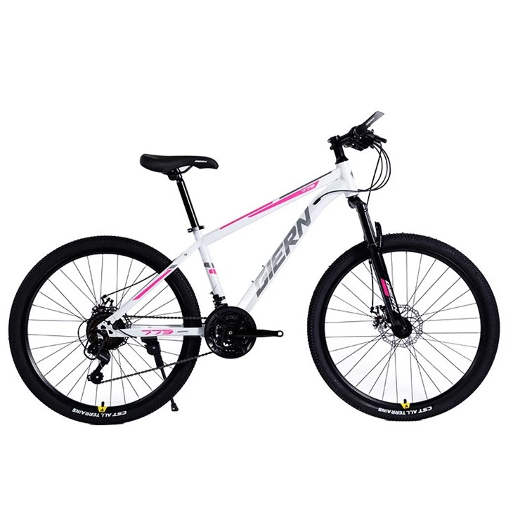 Mtb Frame 29 Hardtail