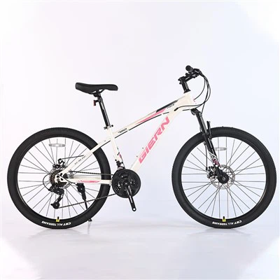 Bingkai Hardtail 26 Mtb