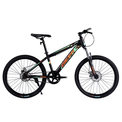 Basikal Dh Single Speed