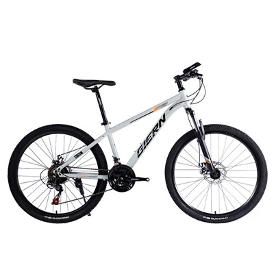 Rangka Keluli Hardtail Mtb