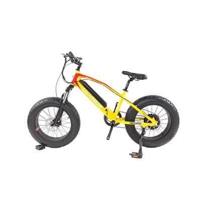 Basikal Gunung Elektrik Xs