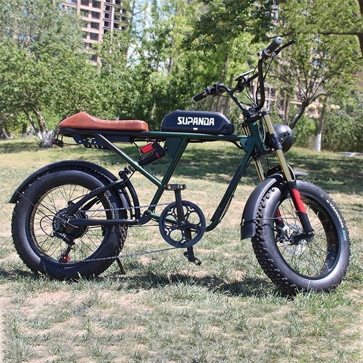 Electric Bike With Double Battery