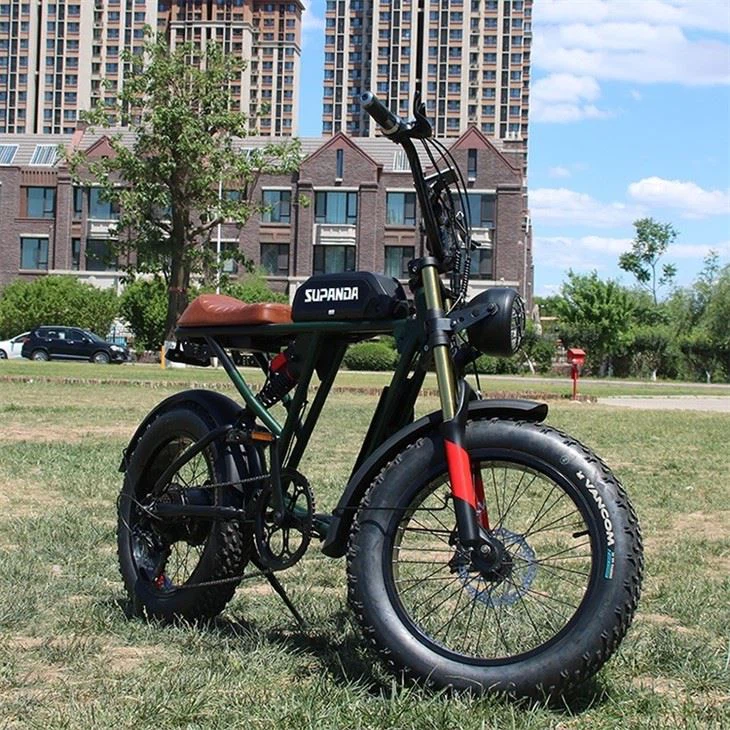 Electric Bike With Double Battery